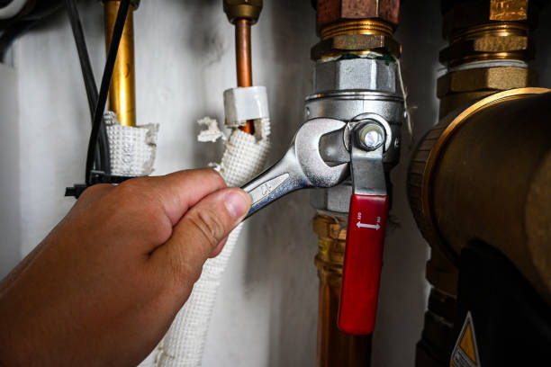 Best Residential Plumbing Services  in Pine Grove, PA